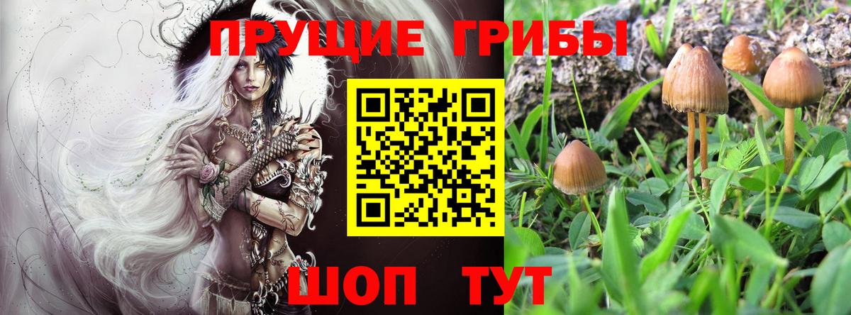 Касимов  дарнет шоп  Псилоцибиновые грибы мухоморы  Вход с VPN  Псилоцибиновые грибы прущие грибы 
