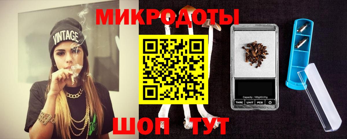 Псилоцибиновые грибы Cubensis Касимов